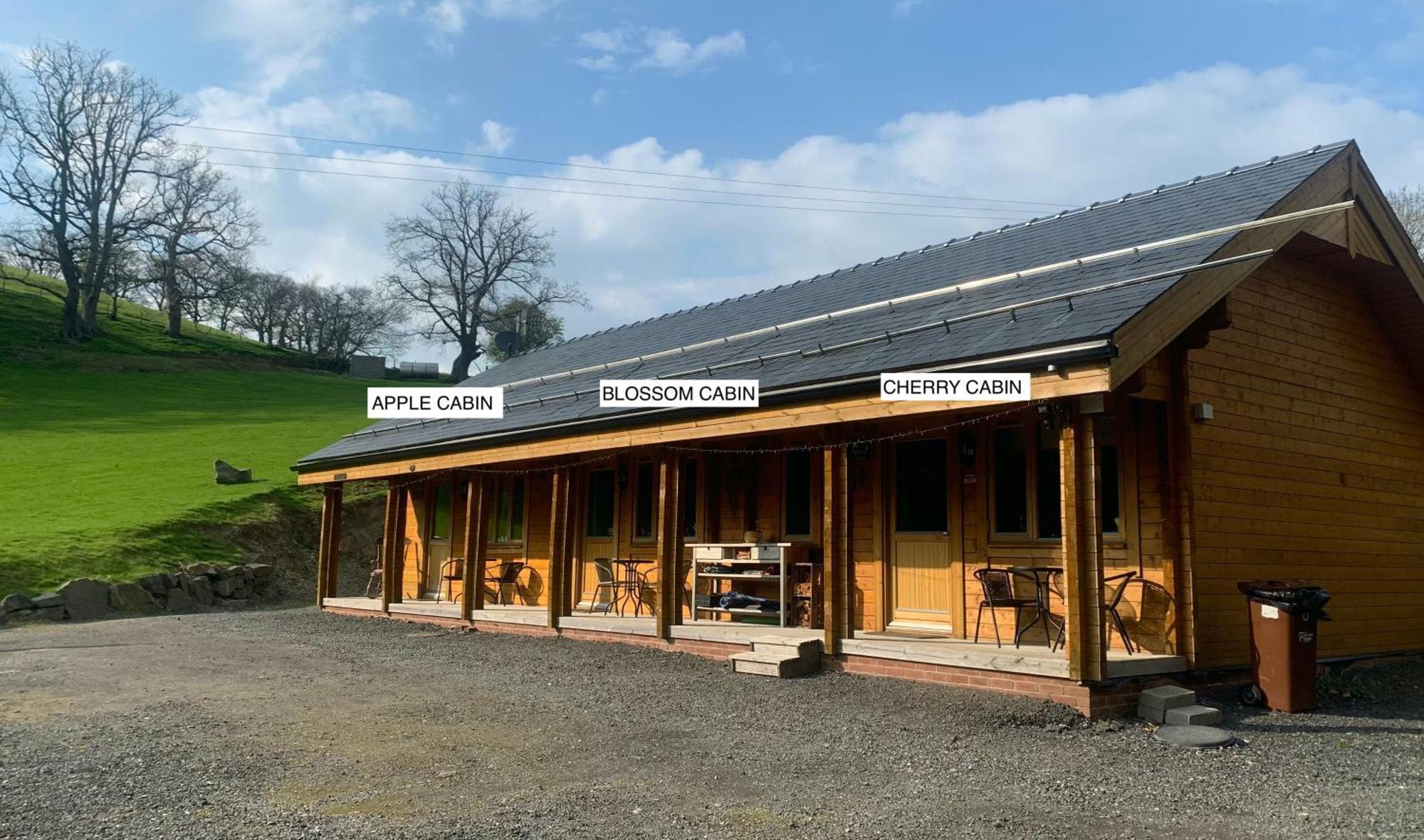 Chalet Blossom - Little Log In Wales Newtown (Powys)